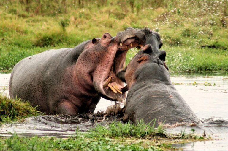 Lake Nakuru National Park