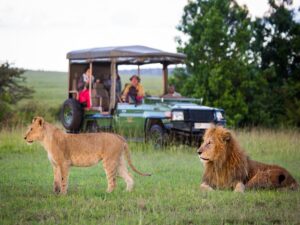 animals from Kenya